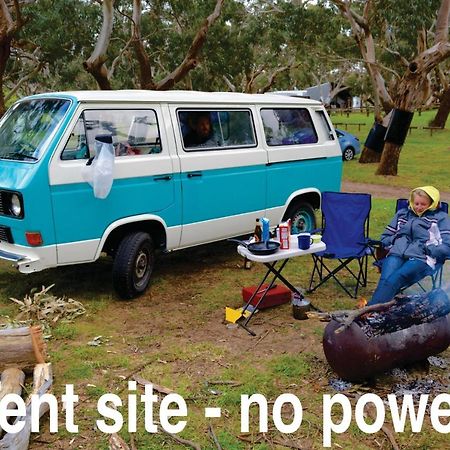 Bimbi Park - Camping Under Koalas Кейп Отуей Екстериор снимка