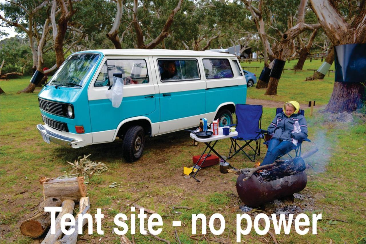 Bimbi Park - Camping Under Koalas Кейп Отуей Екстериор снимка