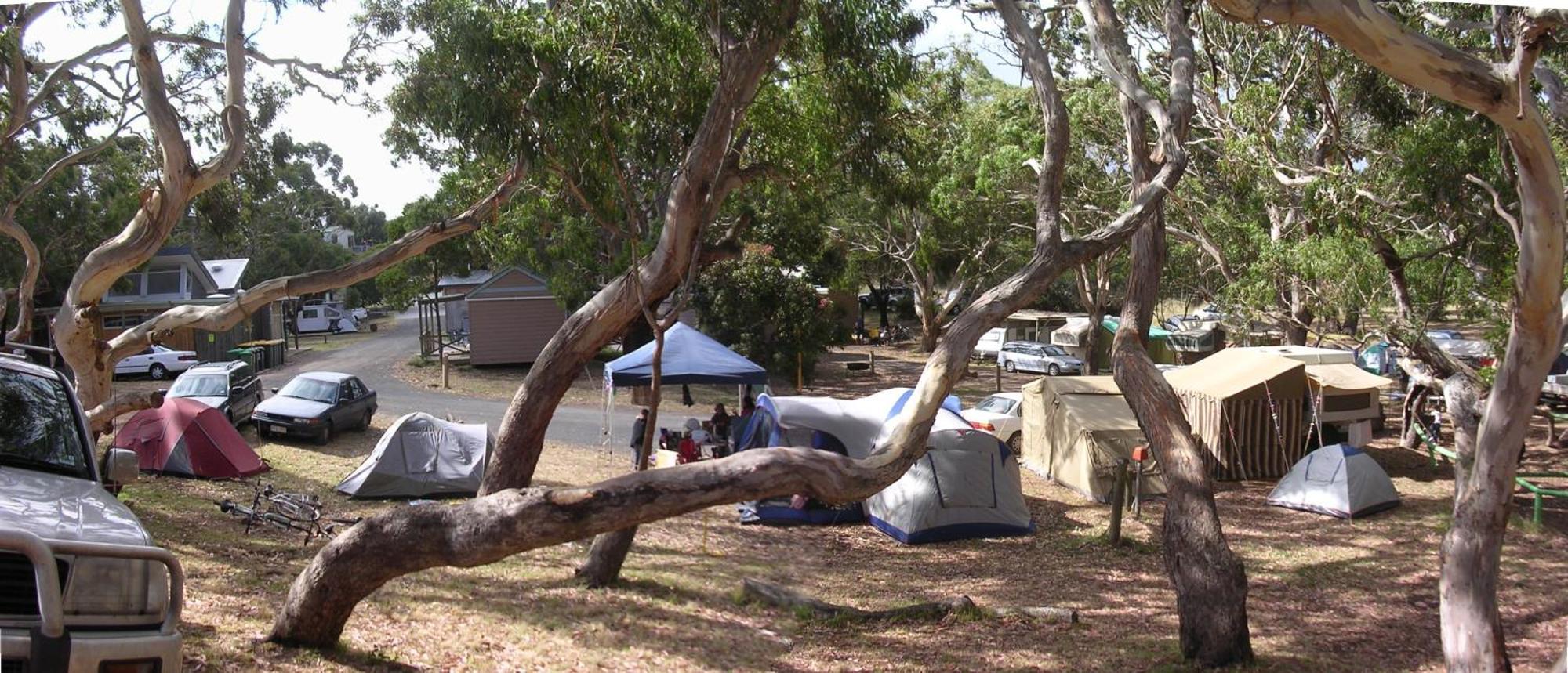 Bimbi Park - Camping Under Koalas Кейп Отуей Екстериор снимка