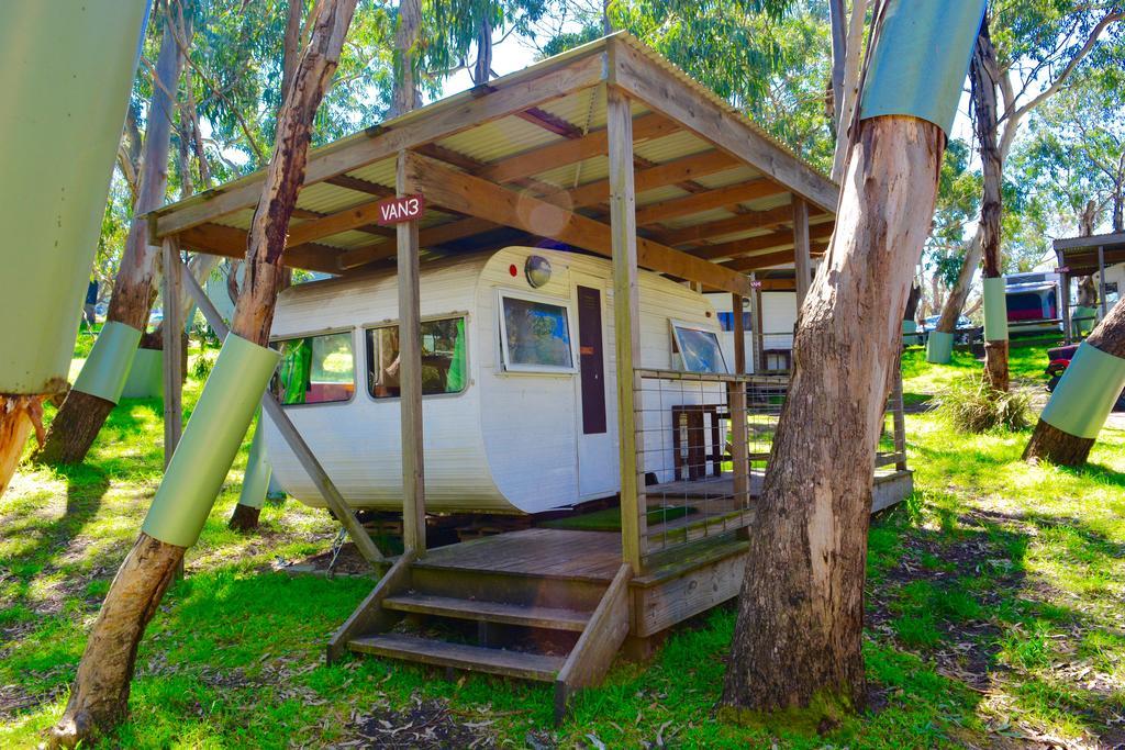 Bimbi Park - Camping Under Koalas Кейп Отуей Екстериор снимка