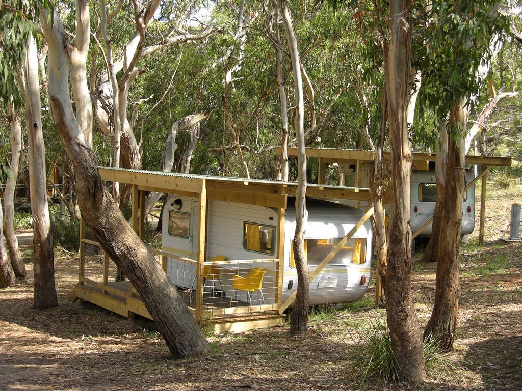 Bimbi Park - Camping Under Koalas Кейп Отуей Екстериор снимка